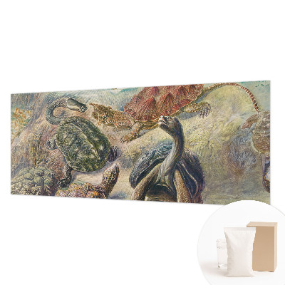 Vlies fotobehang op maat Schildpadfauna