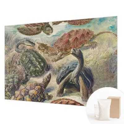 Vlies fotobehang op maat met schildpadmotief