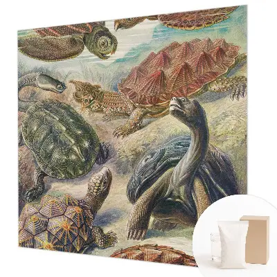 Vlies fotobehang op maat met schildpadmotief