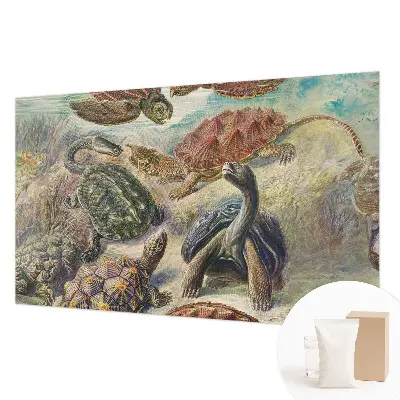 Vlies fotobehang op maat met schildpadmotief