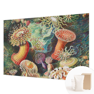 Fotobehang met sierlijke zeeanemonen als motief