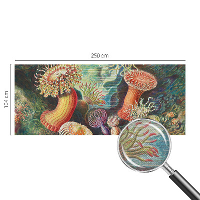 Fotobehang met sierlijke zeeanemonen als motief