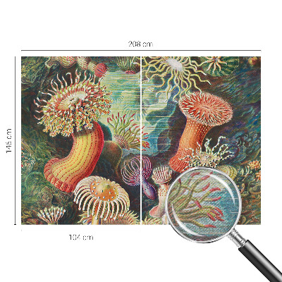 Fotobehang met sierlijke zeeanemonen als motief
