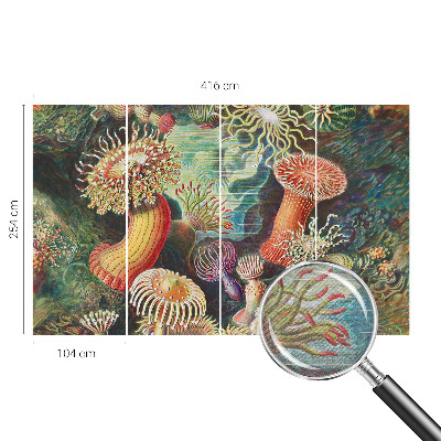 Fotobehang met sierlijke zeeanemonen als motief