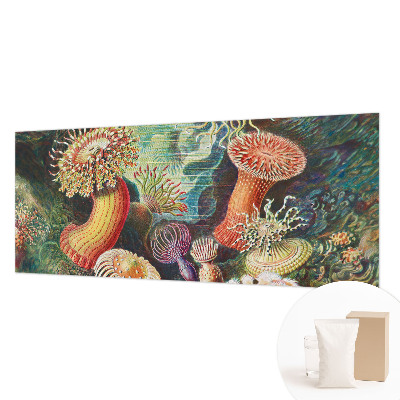 Fotobehang met sierlijke zeeanemonen als motief