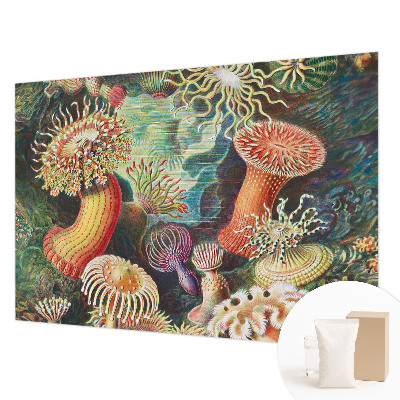 Fotobehang met sierlijke zeeanemonen als motief