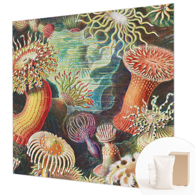 Fotobehang met sierlijke zeeanemonen als motief