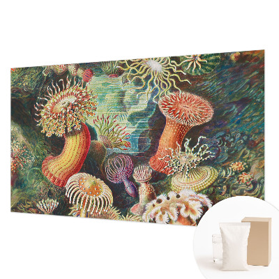 Fotobehang met sierlijke zeeanemonen als motief