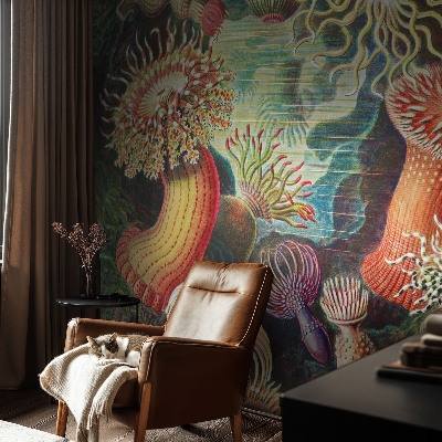 Fotobehang met sierlijke zeeanemonen als motief