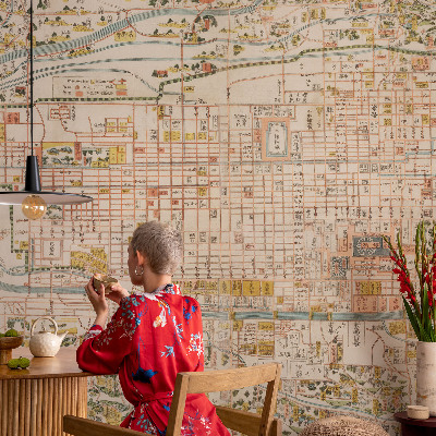 Foto behang op maat Antieke kaart