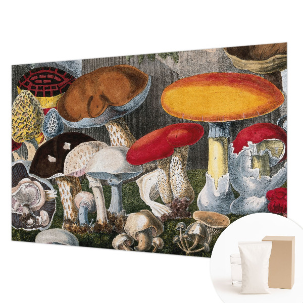 Fotobehang voor slaapkamer Botanische paddenstoelen