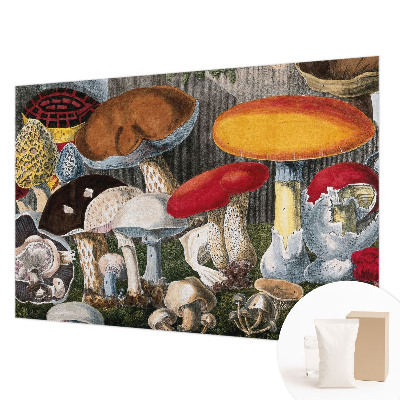 Fotobehang voor slaapkamer Botanische paddenstoelen
