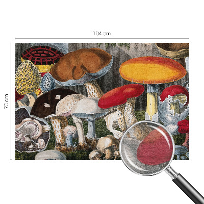 Fotobehang voor slaapkamer met een botanisch paddenstoelenmotief