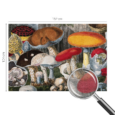 Fotobehang voor slaapkamer Botanische paddenstoelen