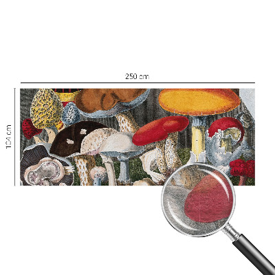 Fotobehang voor slaapkamer met een botanisch paddenstoelenmotief