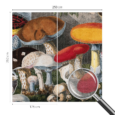 Fotobehang voor slaapkamer Botanische paddenstoelen