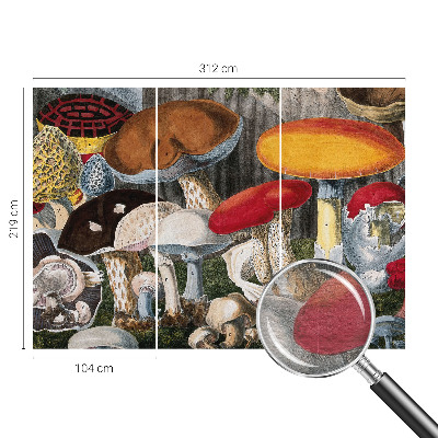 Fotobehang voor slaapkamer met een botanisch paddenstoelenmotief