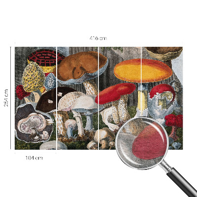 Fotobehang voor slaapkamer Botanische paddenstoelen