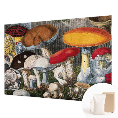 Fotobehang voor slaapkamer met een botanisch paddenstoelenmotief