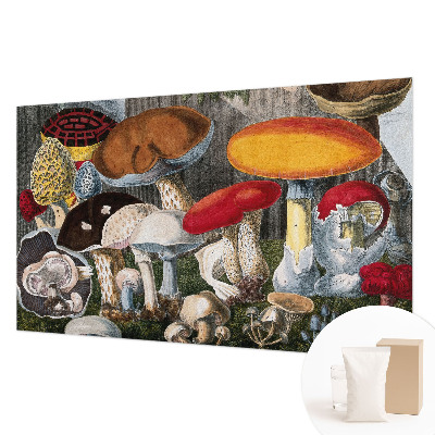 Fotobehang voor slaapkamer Botanische paddenstoelen