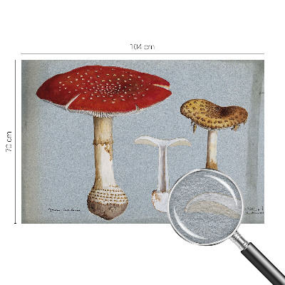 Modern fotobehang met paddenstoelgravures