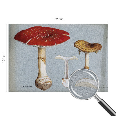 Modern fotobehang met paddenstoelgravures
