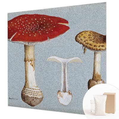 Modern fotobehang met paddenstoelgravures