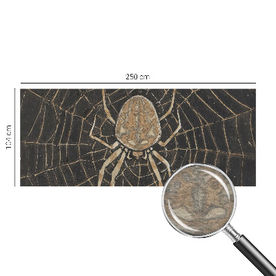 Fotobehang voor de slaapkamer Spinnenweb