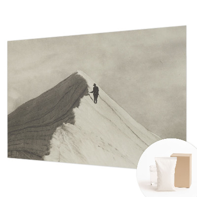 Fotobehang voor de woonkamer Eenzame klimmer