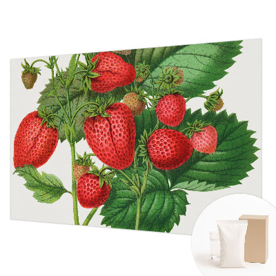 Modern fotobehang voor de woonkamer met een print van zomerfruit