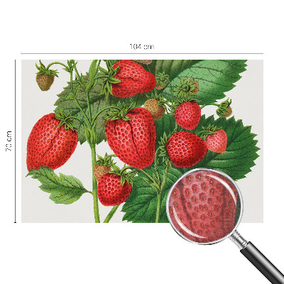 Modern fotobehang voor de woonkamer met een print van zomerfruit