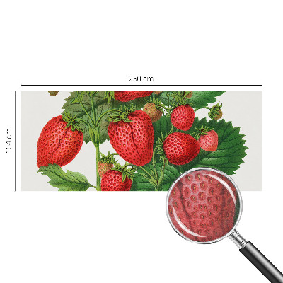 Modern fotobehang voor de woonkamer met een print van zomerfruit