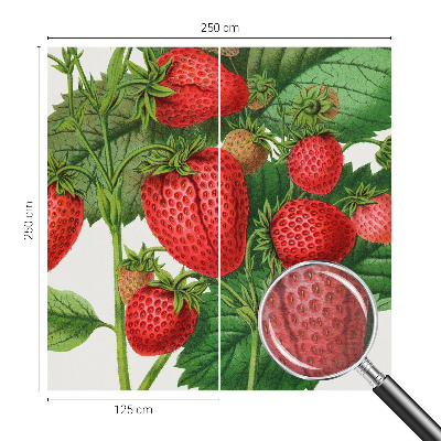 Modern fotobehang voor de woonkamer met een print van zomerfruit