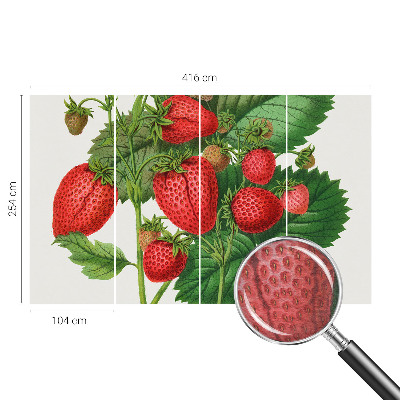 Modern fotobehang voor de woonkamer met een print van zomerfruit