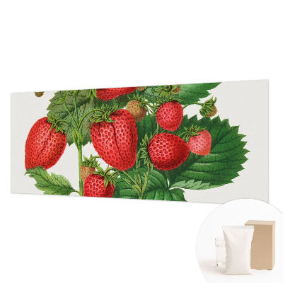 Modern fotobehang voor de woonkamer met een print van zomerfruit