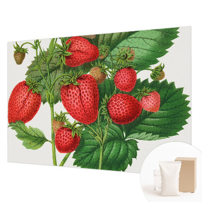 Modern fotobehang voor de woonkamer Zomerfruit