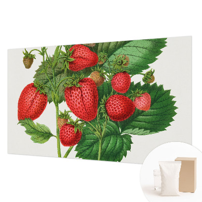 Modern fotobehang voor de woonkamer met een print van zomerfruit