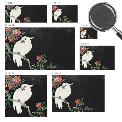 Uniek fotobehang Granaatappelpapegaai