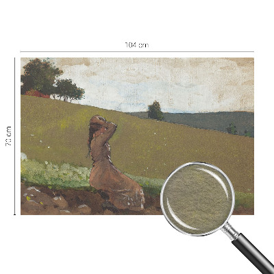 Fotobehang vliesbehang met een rustige scène