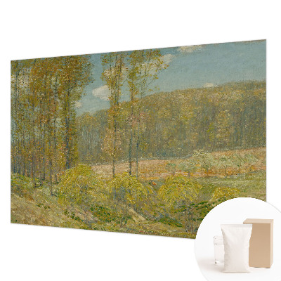 Luxe fotobehang met een boslandschap als motief