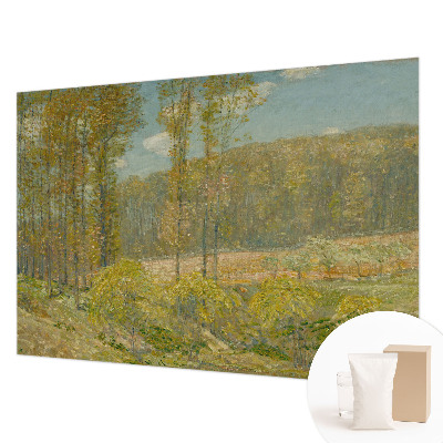 Luxe fotobehang met een boslandschap als motief