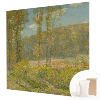 Luxe fotobehang met een boslandschap als motief