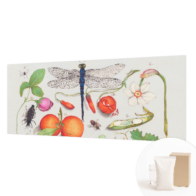 Vlies fotobehang op maat Natuurillustratie