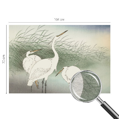 Behang met print met een print van reigers in het gras