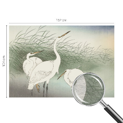 Behang met print met een print van reigers in het gras