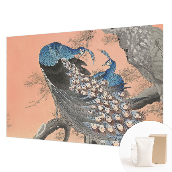 Fotobehang naadloos Pauwenelegantie