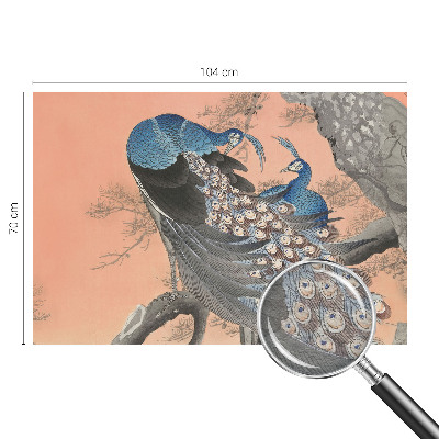 Fotobehang naadloos Pauwenelegantie