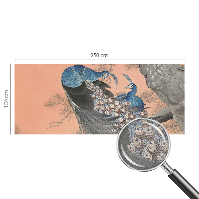 Fotobehang naadloos Pauwenelegantie