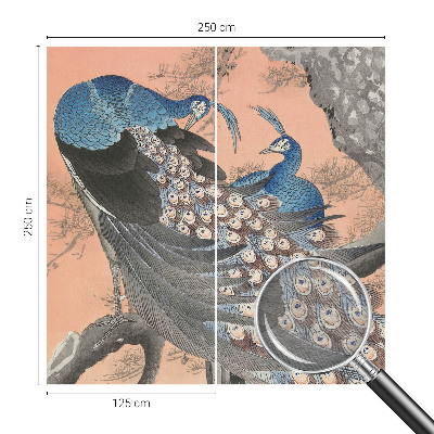 Fotobehang naadloos Pauwenelegantie