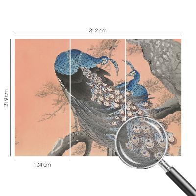 Fotobehang naadloos Pauwenelegantie